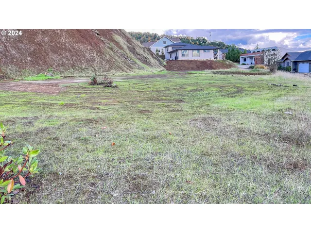 a black and white photo of a house