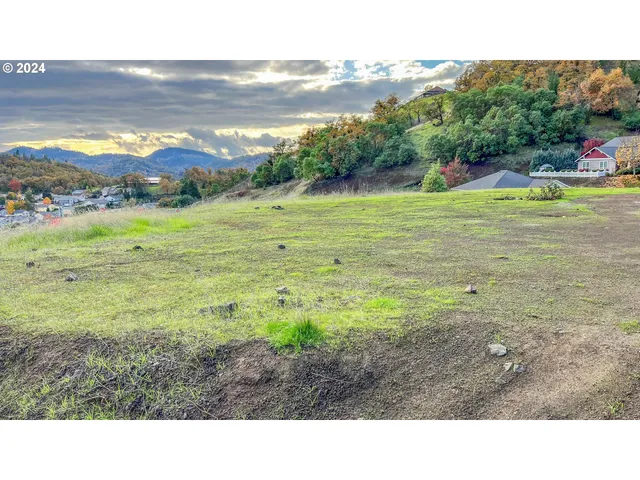 a black and white photo of a field
