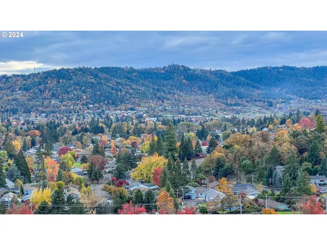 a aerial view of a house with a garden and mountain view