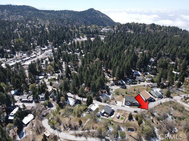 a view of a lush green field with mountains in the background