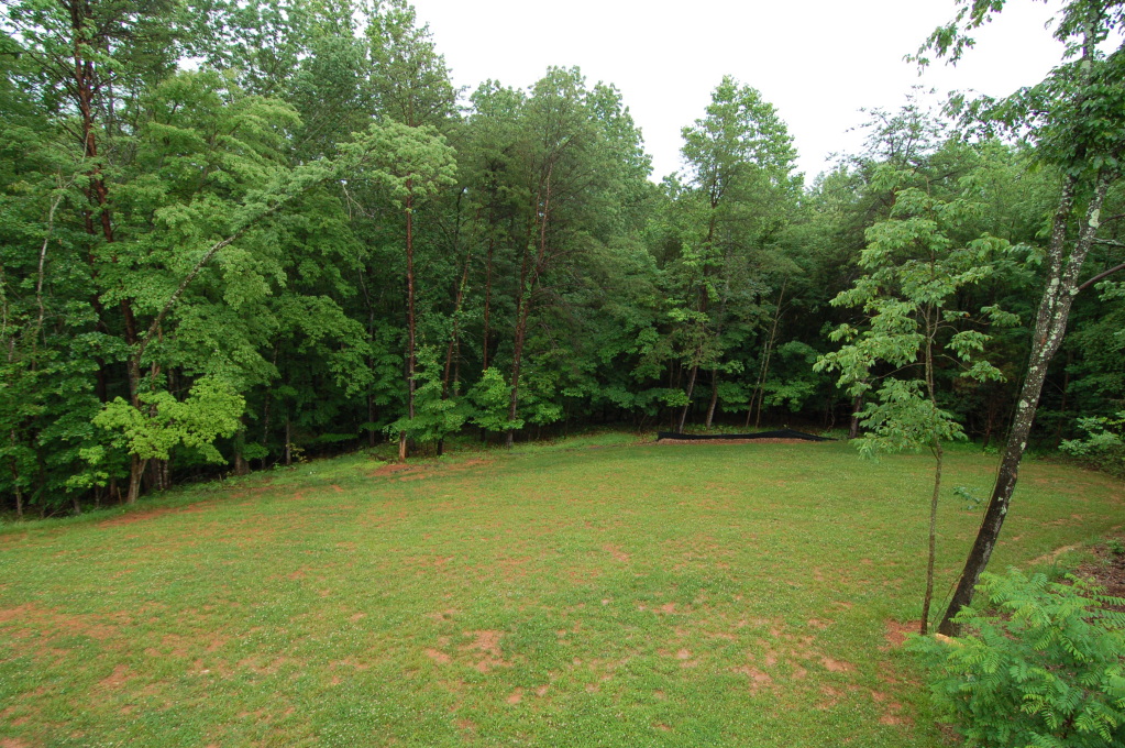 1076 Windlass Road Moneta, VA 24121 - Photo 16 of 16 Yard