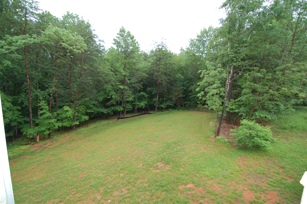 1076 Windlass Road Moneta, VA 24121 - Photo 10 of 16 Back Yard