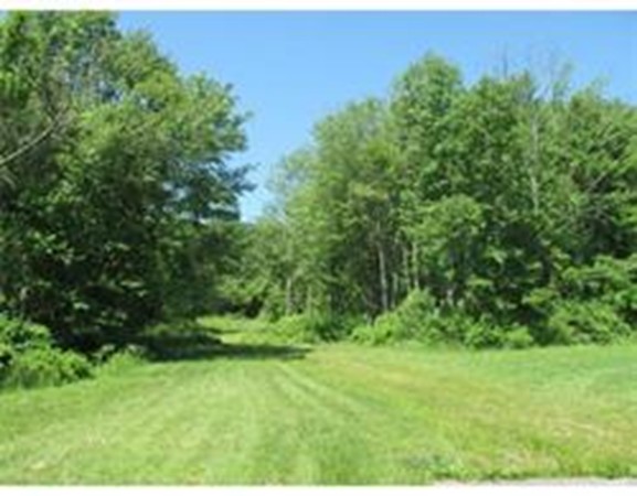 9 Meadowbrook Road Grafton, MA 01519 - Photo 1 of 1 Gallery Image 1