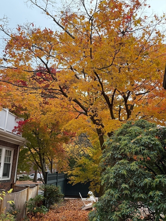 108 Crowninshield Road Brookline, MA 02446 - Photo 8 of 26