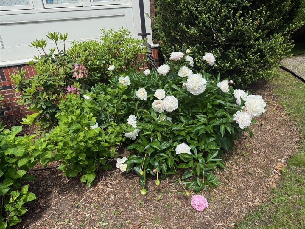 108 Crowninshield Road Brookline, MA 02446 - Photo 9 of 26