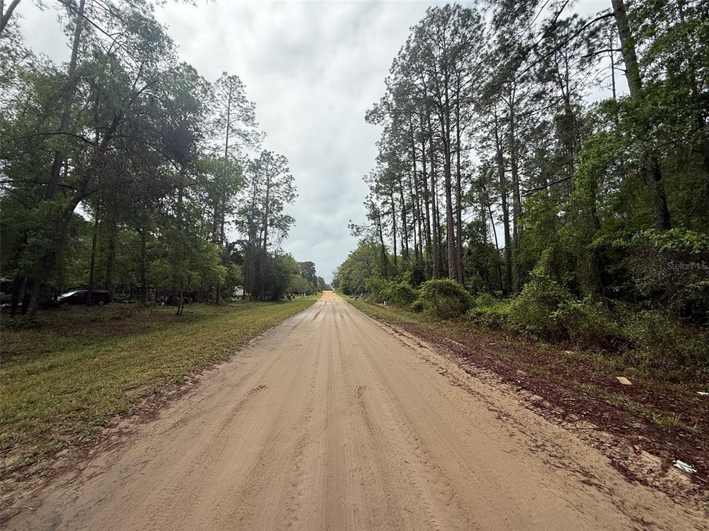 Seminole Avenue Interlachen, FL 32148 - Photo 2 of 10 a view of a street with trees on both side of it