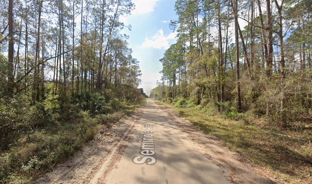 Seminole Avenue Interlachen, FL 32148 - Photo 2 of 4