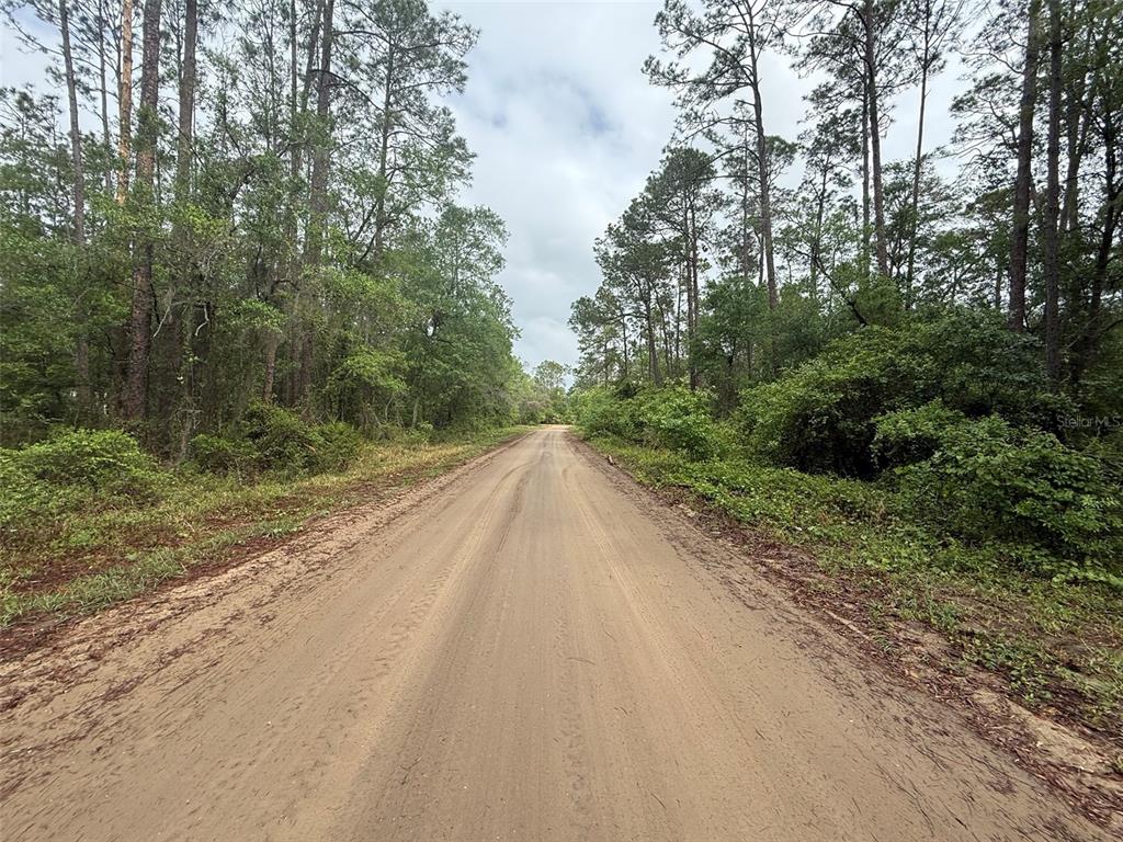 Seminole Avenue Interlachen, FL 32148 - Photo 3 of 10 a view of a road with a trees