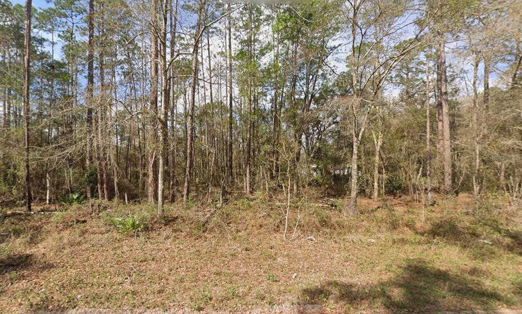 Seminole Avenue Interlachen, FL 32148 - Photo 6 of 10 a view of small yard
