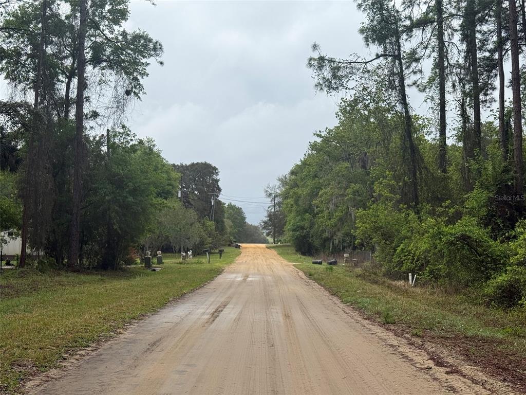 Seminole Avenue Interlachen, FL 32148 - Photo 10 of 10 a view of city street with a trees