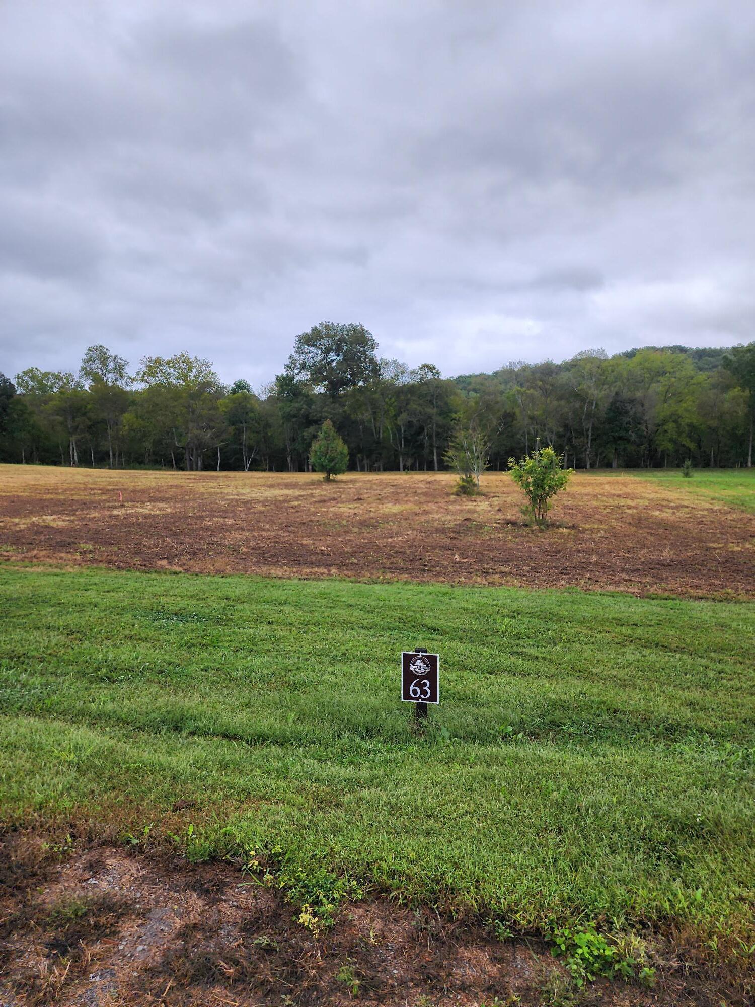 63 River Ridge Drive Dunlap, TN 37327 - Photo 1 of 12 Lot 63 (3)