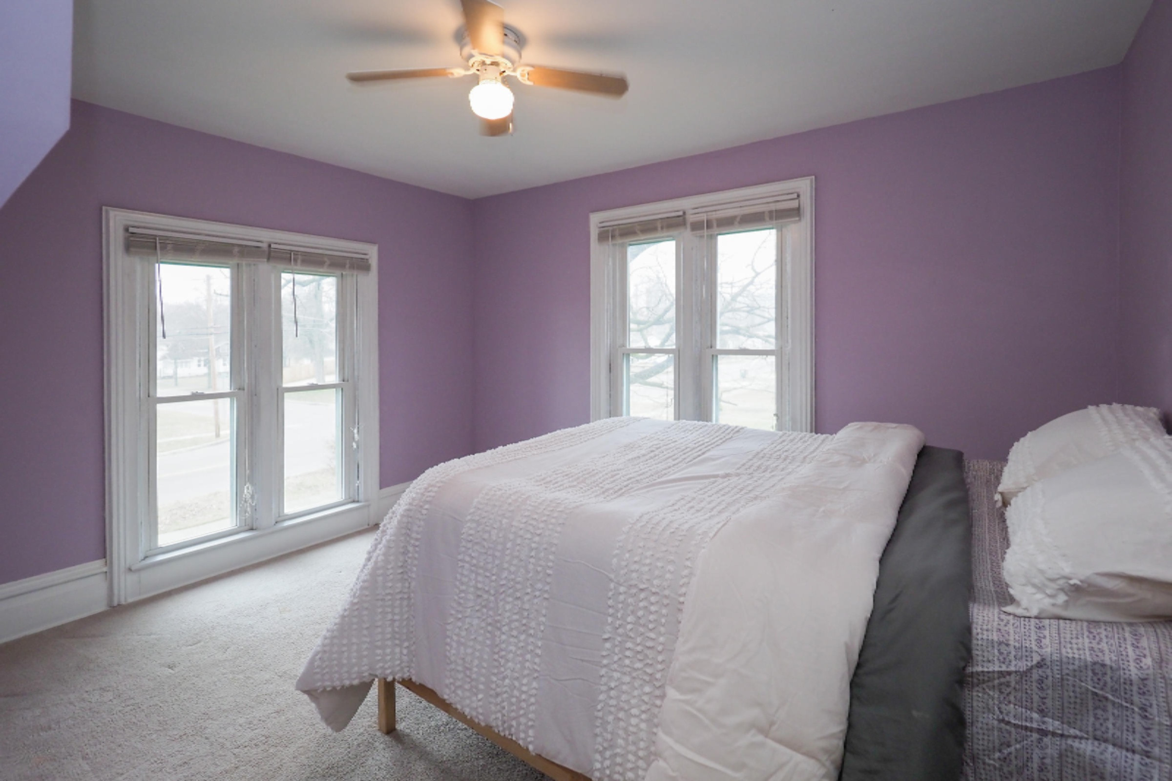 401 South George Street Decatur, MI 49045 - Photo 30 of 41 401 South George-130