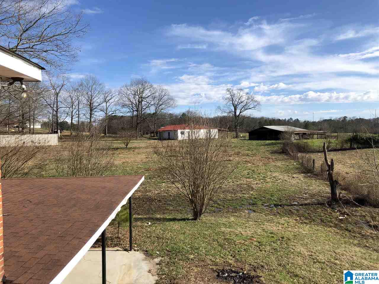 609 Cobb Brazeel Road Trafford, AL 35172 - Photo 18 of 42