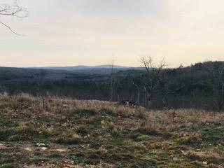0 Middle Road Parsonsfield, ME 04047 - Photo 15 of 16 Top View 3