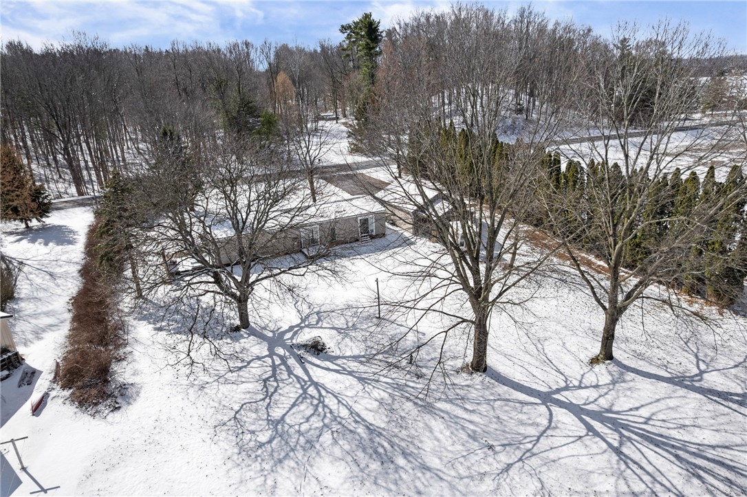 998 Pinewood Road Phelps, NY 14532 - Photo 35 of 39 Mature trees!