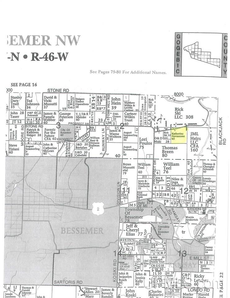 Tbd Tbd Mattson Camp Road Bessemer, MI 49911 - Photo 1 of 4 Gallery Image 1