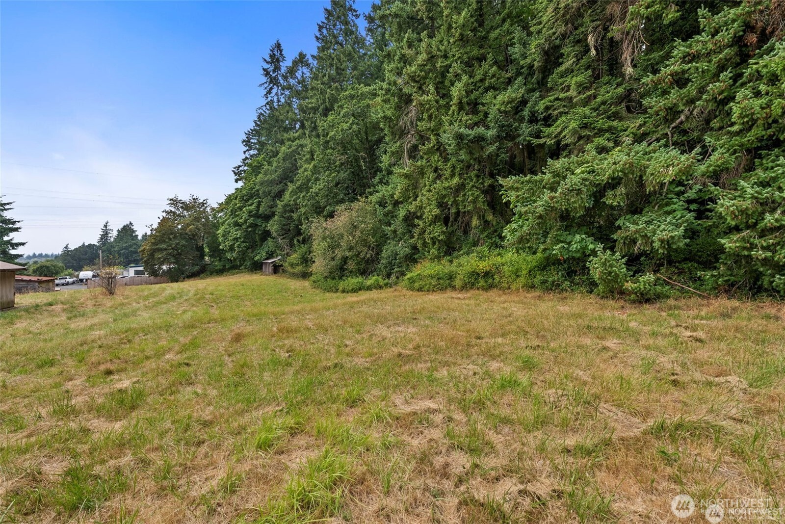 0 Jackson Highway Chehalis, WA 98532 - Photo 1 of 1 a view of yard with green space