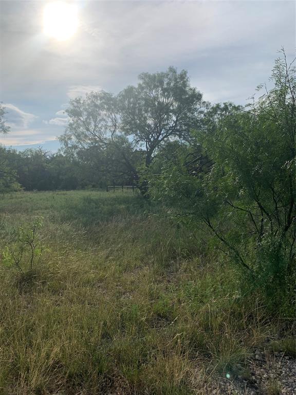 31.09-ac Hoefle Road Jacksboro, TX 76458 - Photo 31 of 33 a view of a field with trees in background