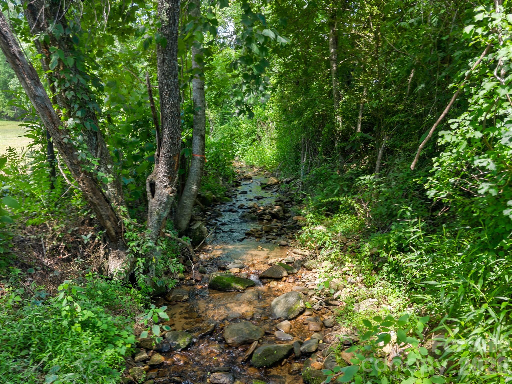 563 Burgess Road Mill Spring, NC 28756 - Photo 31 of 43