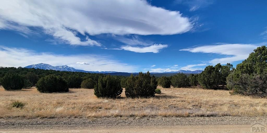 Lot 34 Silver Spur Road Walsenburg, CO 81089 - Photo 8 of 43