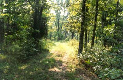 600 Dividing Ridge Road Sadieville, KY 40370 - Photo 1 of 3 Photo 1