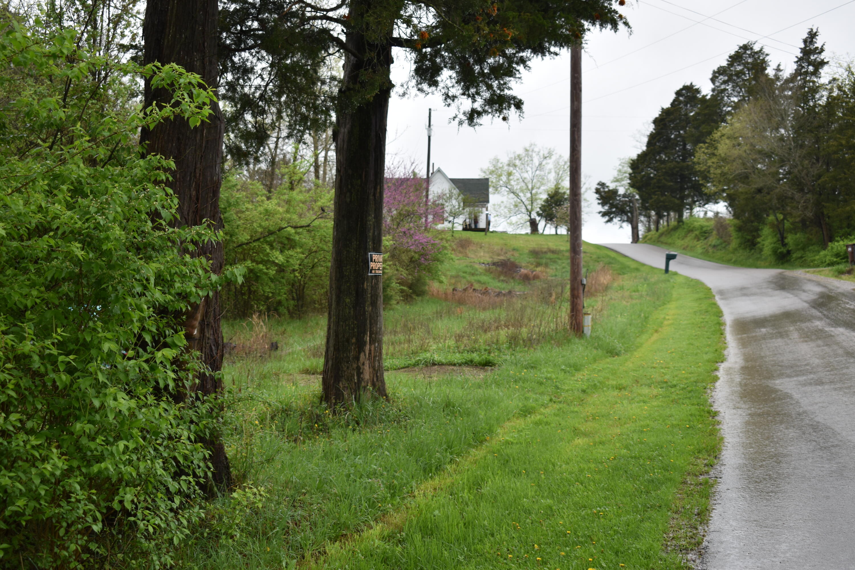 866 McCouns Ferry Road Salvisa, KY 40372 - Photo 9 of 13 DSC_0015