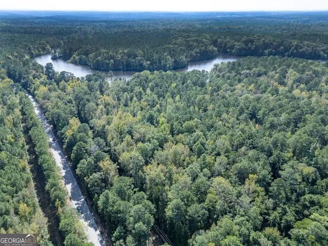 a view of a yard with plants and trees