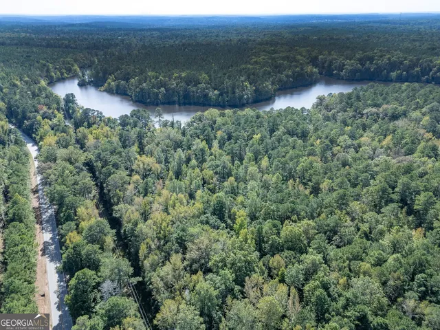 a view of a yard with large trees