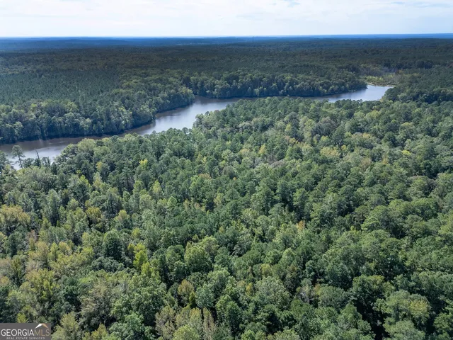 a view of a lush green forest with lush green forest