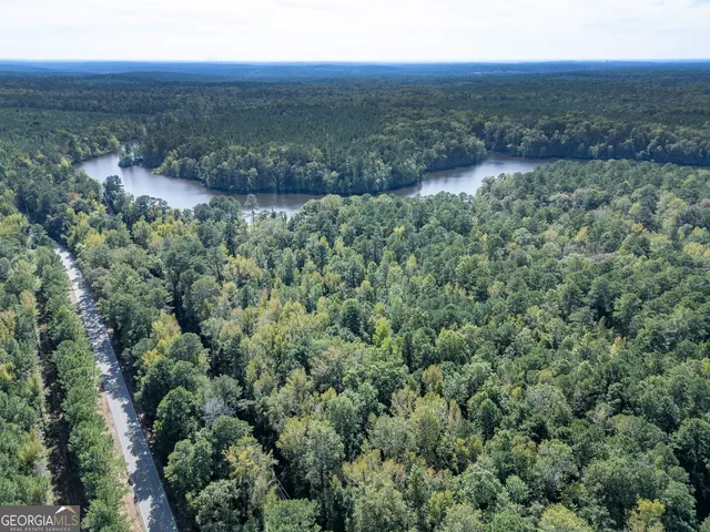 a view of a lush green forest with trees and some houses