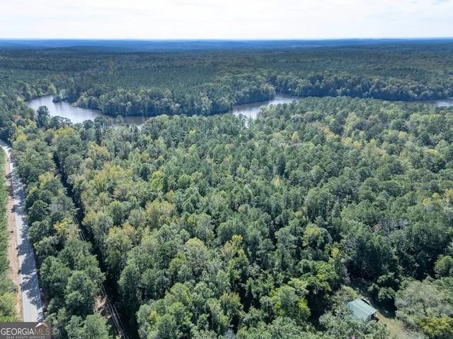 a view of a lush green forest with trees