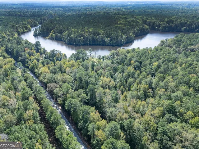 a view of a lush green forest with a mountain