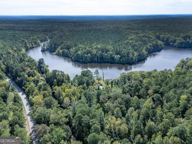 a view of a city with lush green forest