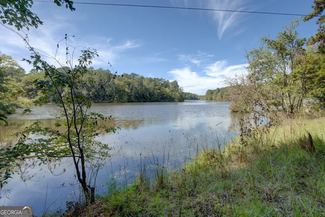 a view of a ocean with trees