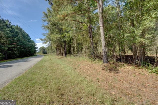 a view of an empty room and wooden floor