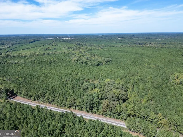 a view of a yard with plants and trees