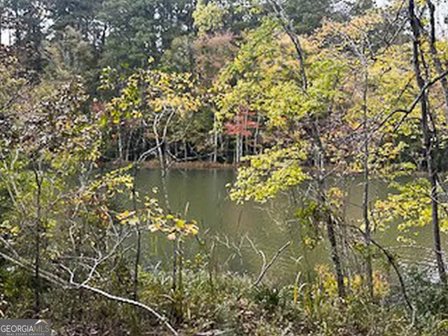 $5,600,000 | 8841 Highway 11, Monticello, GA 31064