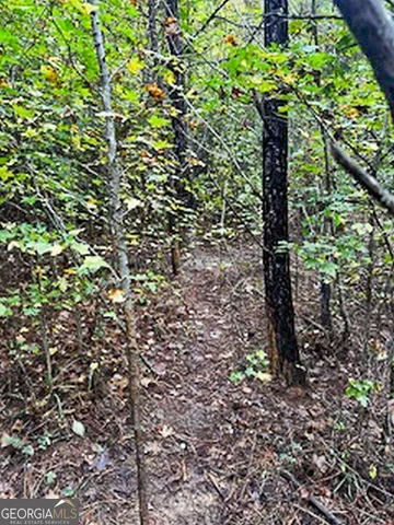 $5,600,000 | 8841 Highway 11, Monticello, GA 31064