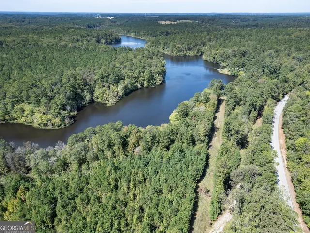 a view of a forest with a street