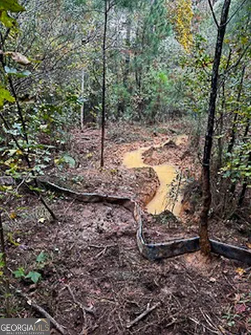 $5,600,000 | 8841 Highway 11, Monticello, GA 31064