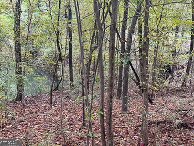 $5,600,000 | 8841 Highway 11, Monticello, GA 31064