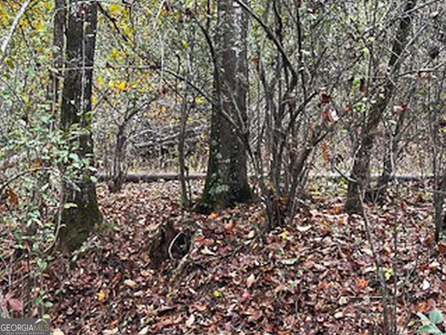 $5,600,000 | 8841 Highway 11, Monticello, GA 31064