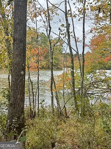 $5,600,000 | 8841 Highway 11, Monticello, GA 31064