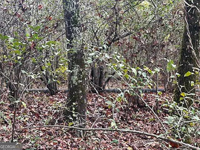 $5,600,000 | 8841 Highway 11, Monticello, GA 31064