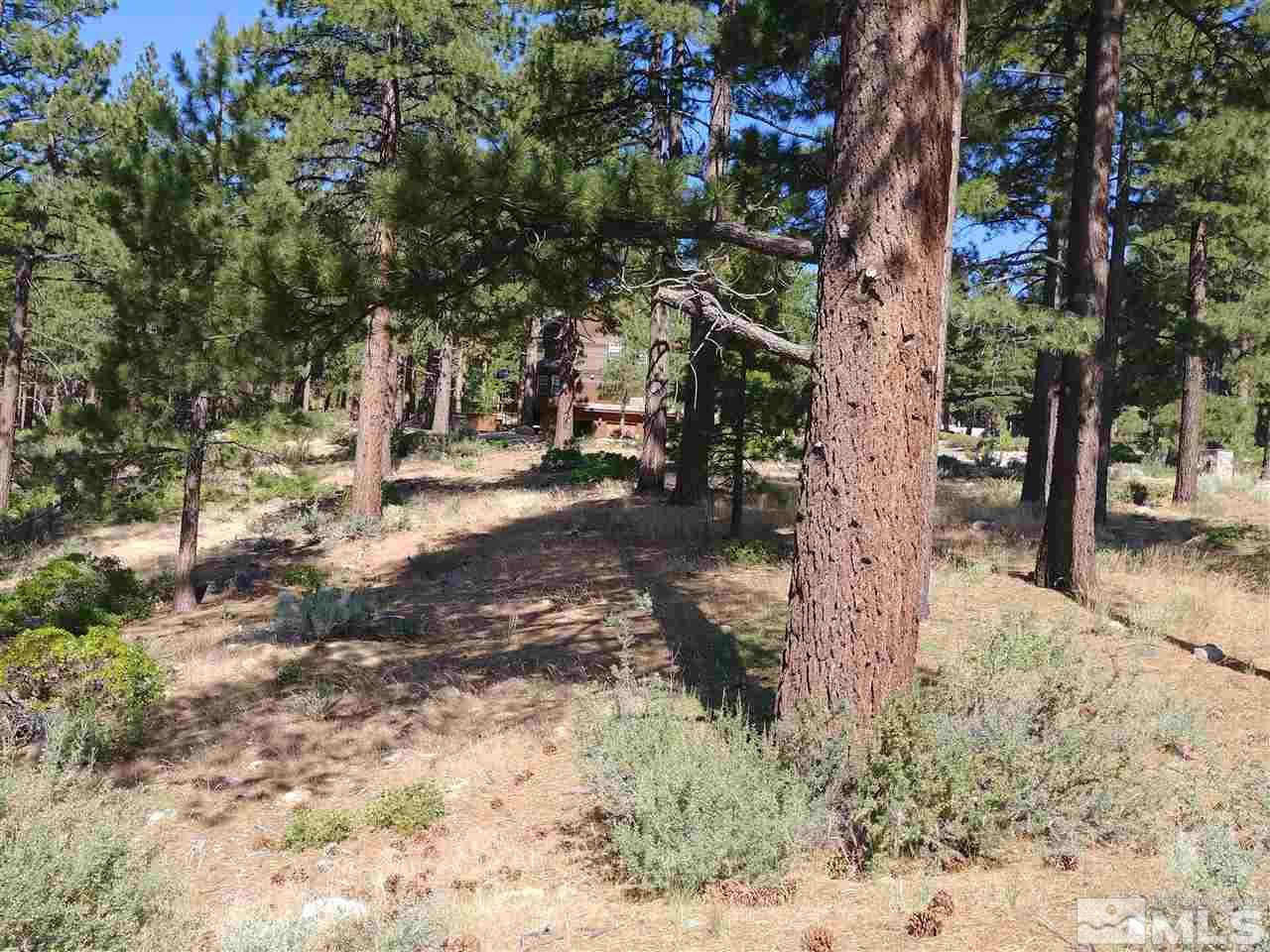 292 East Jeffrey Pine Road Reno, NV 89511 - Photo 1 of 6 Photo 1