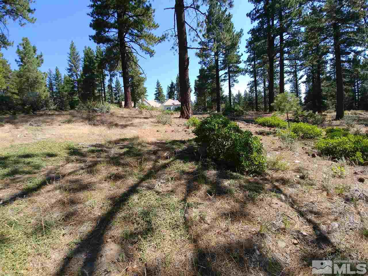 292 East Jeffrey Pine Road Reno, NV 89511 - Photo 3 of 6 Photo 3