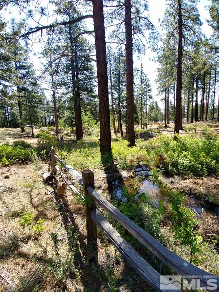 292 East Jeffrey Pine Road Reno, NV 89511 - Photo 5 of 6 Photo 5