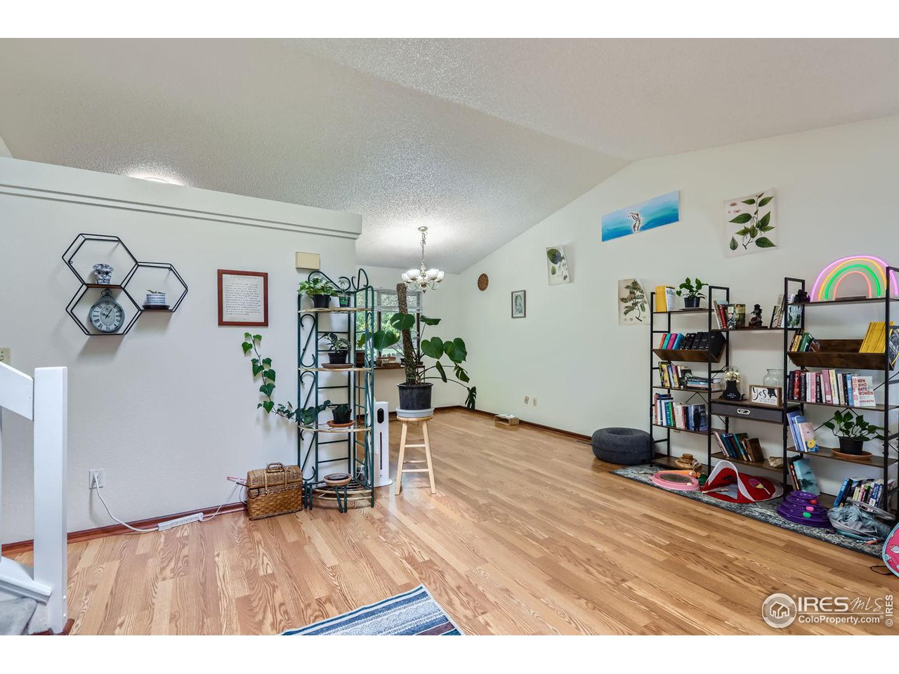 3501 Riva Ridge Drive Fort Collins, CO 80526 - Photo 5 of 32 Gallery Image 5