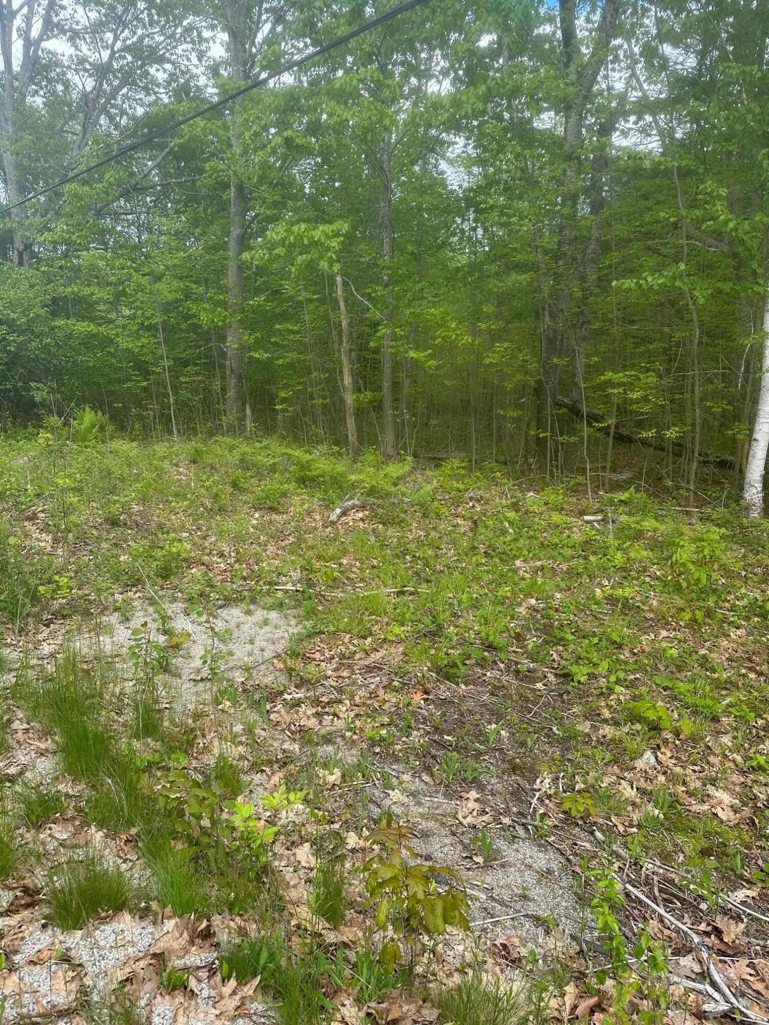 Lot 7 Unionville Road Steuben, ME 04680 - Photo 2 of 4 Lot 7-1