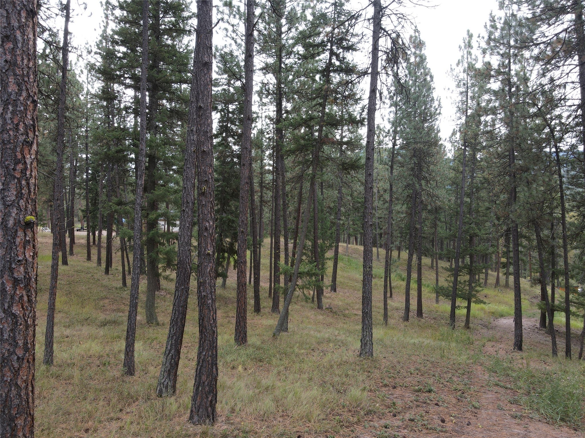 21481 9 Mile Road Huson, MT 59846 - Photo 22 of 43 Gallery Image 22